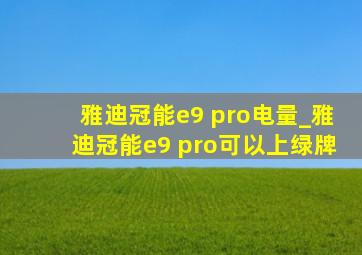 雅迪冠能e9 pro电量_雅迪冠能e9 pro可以上绿牌